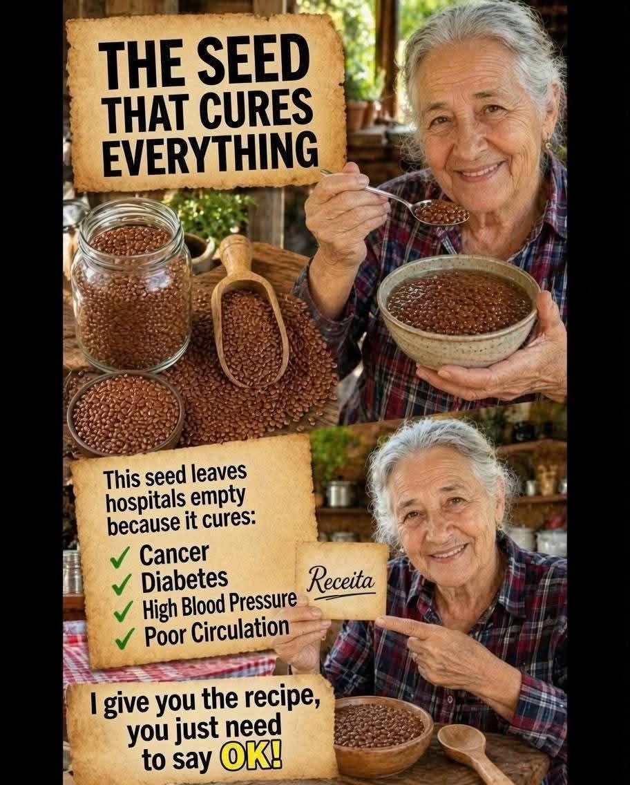 The Seed That “Left Hospitals Empty” — But What Does It Really Do?