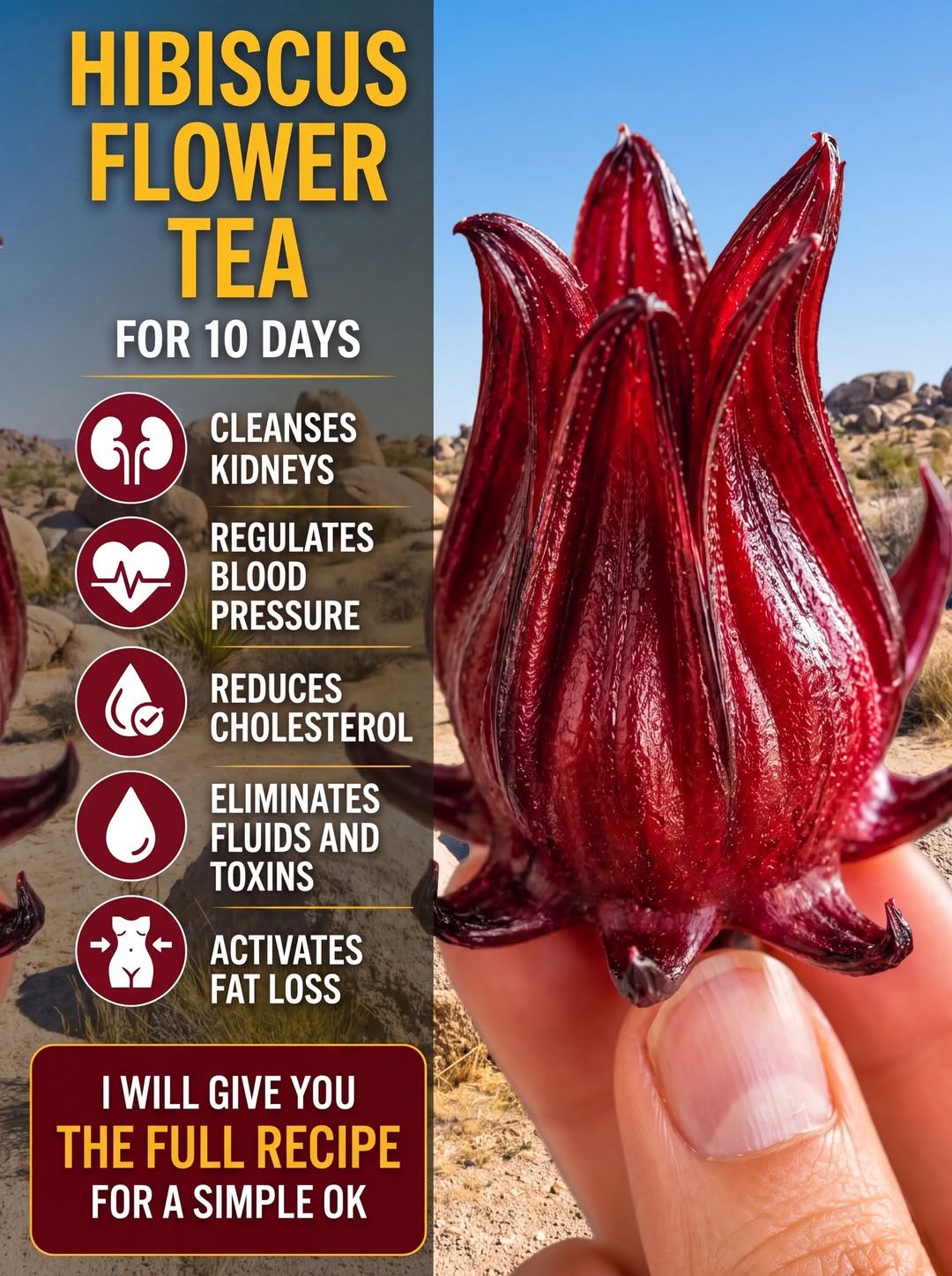 Hibiscus Flower Tea: A Refreshing Drink With Potential Health Benefits